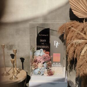 Special Luxury Series